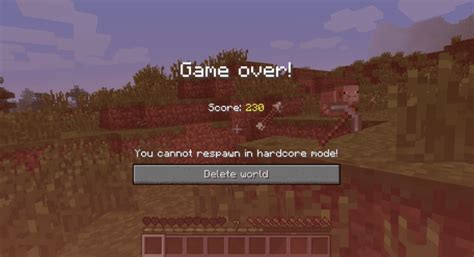 How To Play Minecraft Hardcore Mode Tips And Tricks Hubpages