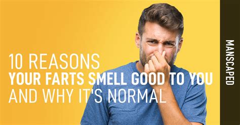 10 Reasons Your Farts Smell Good To You And Why Its Normal Manscaped