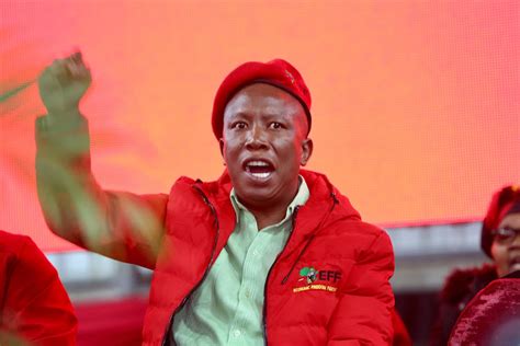 malema promises to give chief five cattle after eff members handed over a sick cow