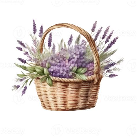 Free Watercolor Lavender Flowers In Basket 22917698 Png With