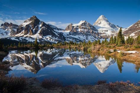 Mount Assiniboine With Sunburst And Cerulean Lake In Autumn Pine Forest