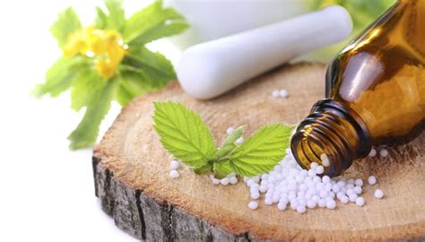 role of homeopathy in cancer treatment welcome to dr geeta s homeopathy health restoration center