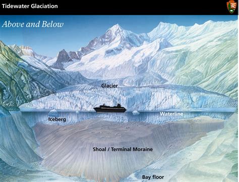 Anatomy Of A Glacier Glacier Bay National Park And Preserve Us
