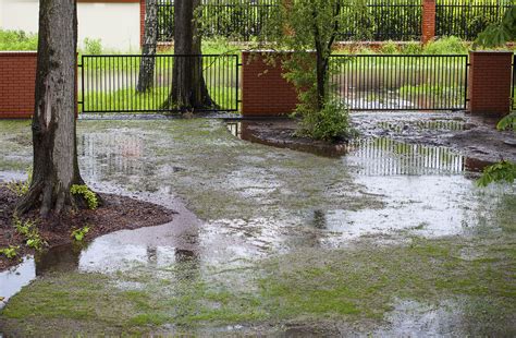 Our backyard doesn't drain well when it rains. After the Bay Area Storm: Identifying Gutter Problems