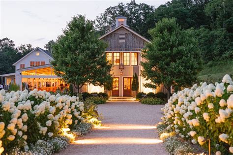 An Elegant August Affair At Pippin Hill Farm And Vineyards In