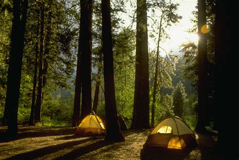 Yosemite Campgrounds What You Need To Know