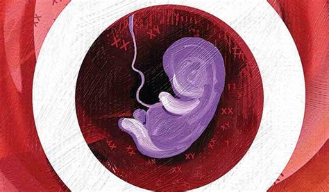 Ncrb Data Haryana Tops In Pre Natal Sex Determination Cases India News The Indian Express