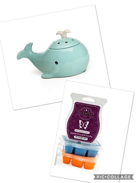 While these include numerous traditional and club varieties, such as braeburn, golden delicious, granny smith, pink lady, and royal gala, mr. Blue Whale Warmer Scentsy. Kerrialexander.scentsy.us ...