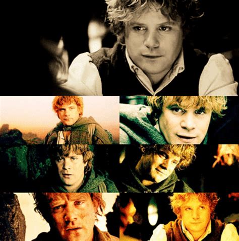 Lord Of The Rings Images Samwise Gamgee Wallpaper And Background Photos