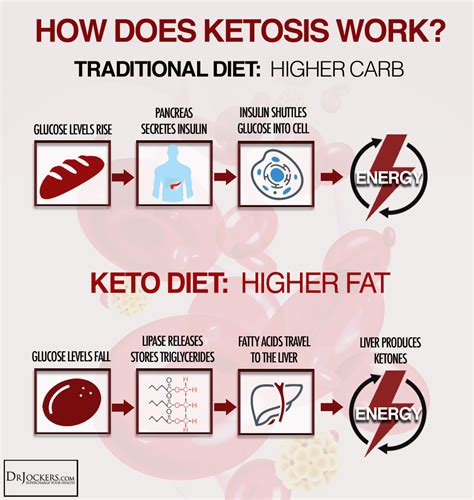 10 Critical Ketogenic Diet Tips