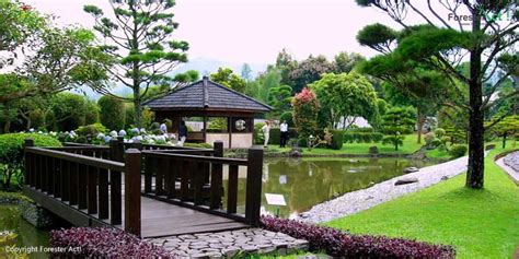 Ragam product karangan bunga di toko bunga pandeglang florist diantaranya : Taman Gaya Jepang di Taman Bunga Nusantara