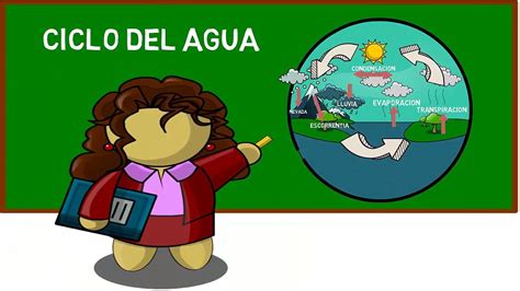 Ciclo Del Agua Para NiÑos 2017 Bien Explicado 💎 Hd Youtube