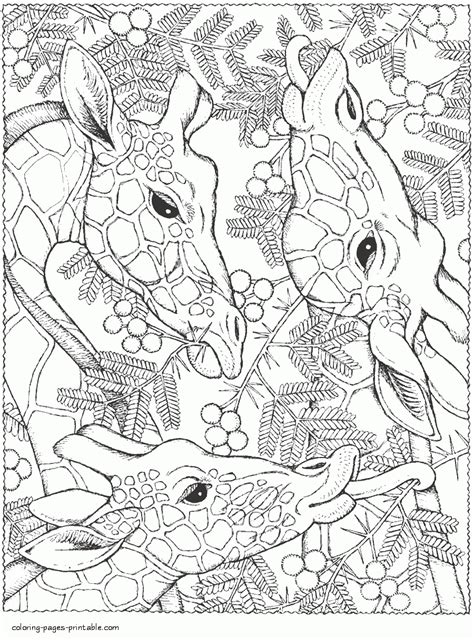 Giraffes Animal Coloring Pages For Adults Coloring Pages Printablecom
