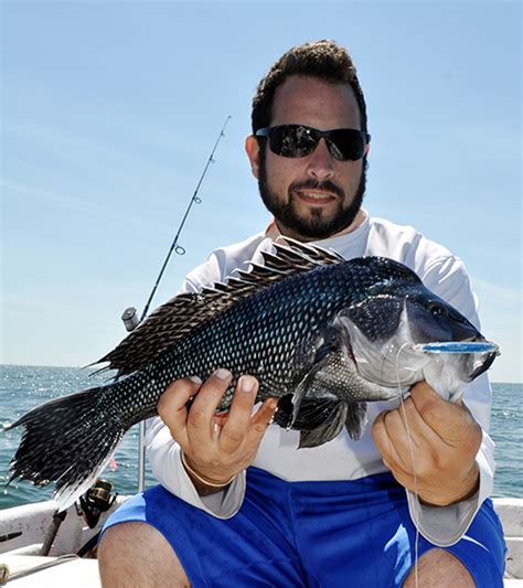 Cape Cod Black Sea Bass Fishing On The Water