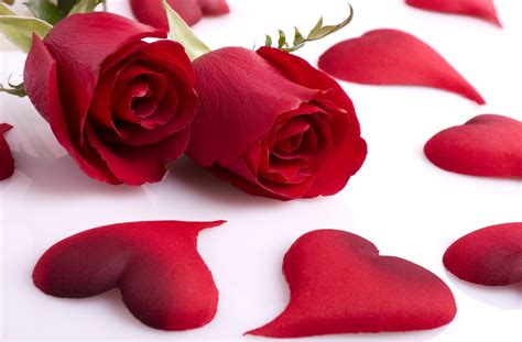 Red Roses And Hearts Wallpaper 45 Pictures
