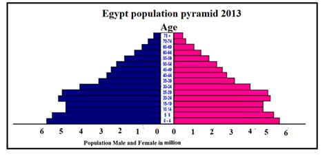 egypt population pyramid at 2013 population in million male and female download scientific