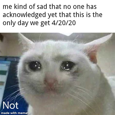 Sad Meowing Rmemes