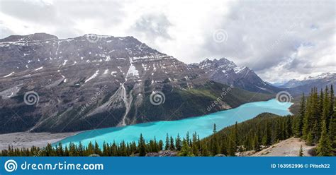 Peyto Lake On The Icefields Parkway Banff National Park Canada Stock