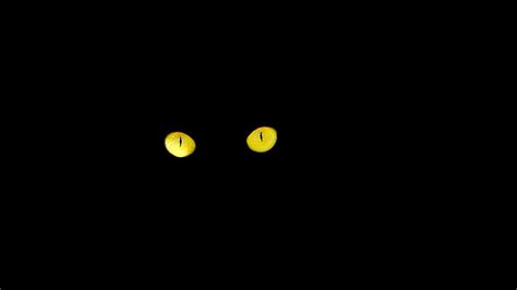 Hd Wallpaper Black Cat Eyes Cats Eyes Night Yellow No People