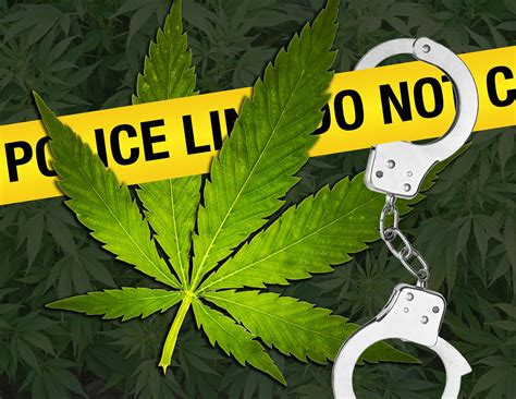 The Legalization Of Marijuana For Recreational Purposes