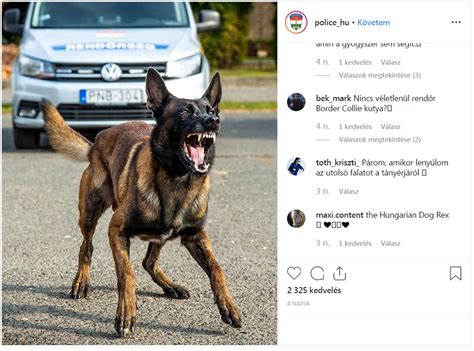 How many people visit police.hu each day? Teljesen rákattantunk a Magyar Rendőrség insta oldalára ...