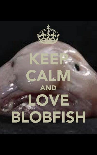 Blobfish💕 Blobfish Keep Calm And Love Pink Aesthetic