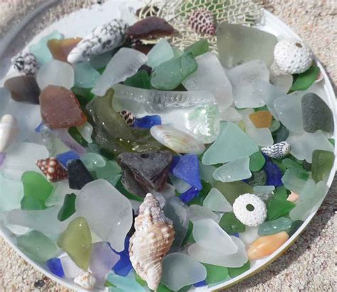 Seashell And Sea Glass Hunt Bahamas Discovery Quest