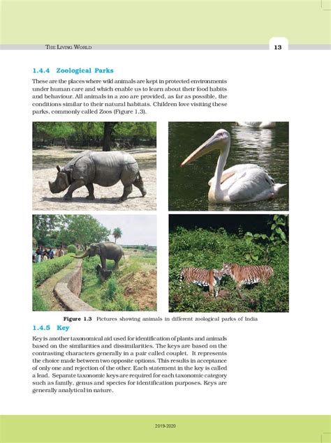 Up Board Book Class Biology Chapter The Living World