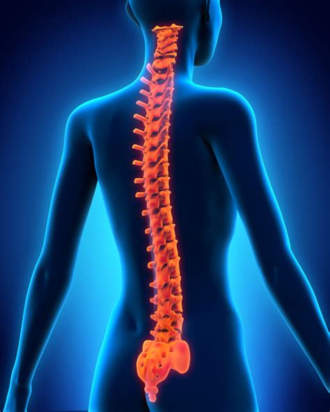 Advanced Spinal Care Five Ways To Improve The Health Of Your Spine