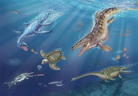 Era Mesozoica En El Mar Prehistoric World Prehistoric Creatures