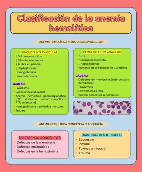 Clasificación de la Anemia Hemolítica uDocz