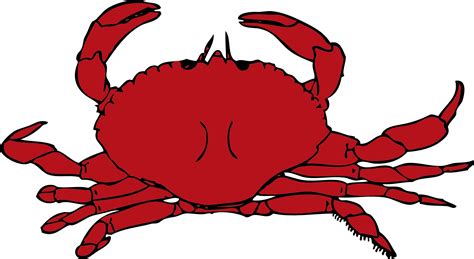 Free Crab Clipart Png Download Free Crab Clipart Png Png Images Free