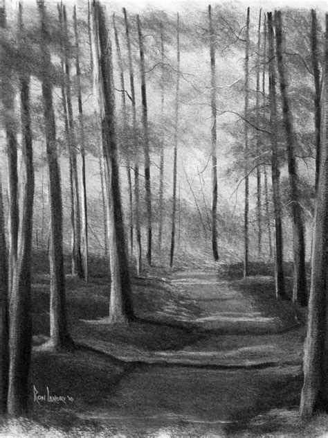 Path At Tall Timbers Drawing By Ron Landry