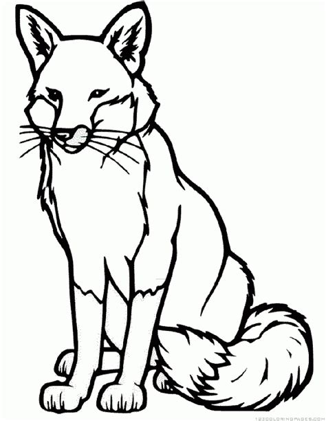 Mammals Coloring Pages Foxes All About Cute And Unique Animals