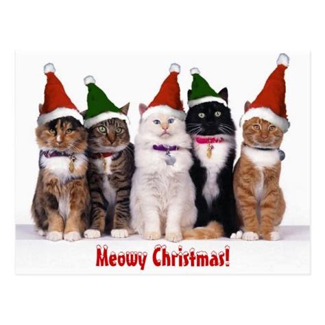 Meowy Christmas Cats Postcard Meowy Christmas Noel Christmas
