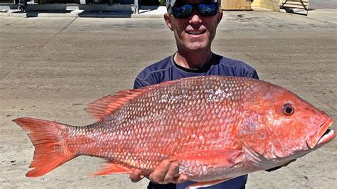 Fishing For Big Red Snapper In The Gulf Of Mexico Youtube