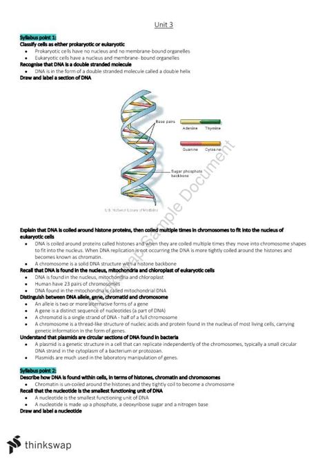 Biology Study Notes Unit 3 And 4 Biology Year 12 Wace Thinkswap