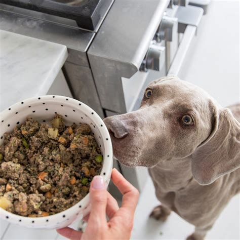 Join the ollie pack and get 50% off your first box and 25% off your next two orders of fresh, healthy food for your pup. Customer Review Of Ollie Dog Food - Goodfullness