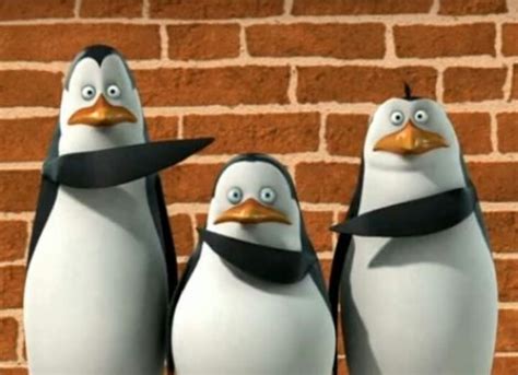 Create Meme Skipper And Kowalski The Penguins Of Madagascar 2 The