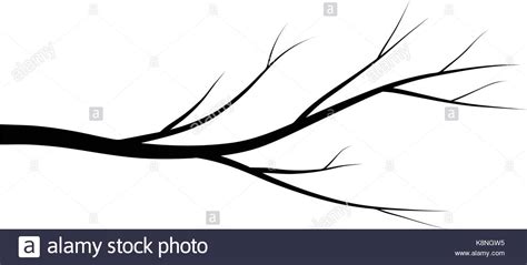 Bare Branch Tree Silhouette Vector Symbol Icon Design Beautiful