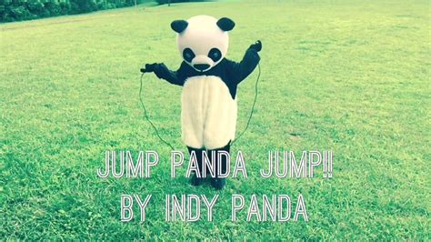 Indy Panda Jumping Youtube