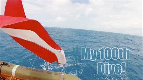 Scuba Diving Key West Th Dive Youtube