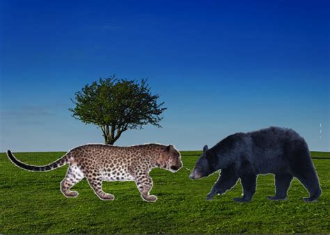 Size Comparison Scale The World Of Animals
