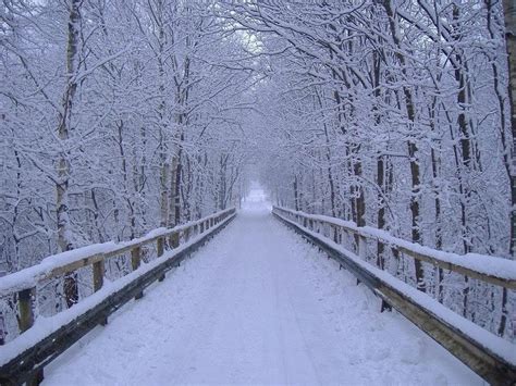 If you're like most photographers, you probably pack up your camera equipment once the snow 1. Raven's Delights: December 21st - The First Day Of Winter