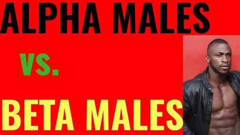 Alpha Male Vs Beta Male [ Explained ] Youtube