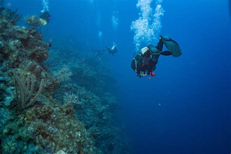 The Complete Guide To Scuba Diving Nassau Bahamas And The Exuma Sound