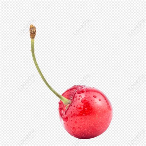 Big Cherry Png Image Free Download And Clipart Image For Free Download Lovepik 401625071