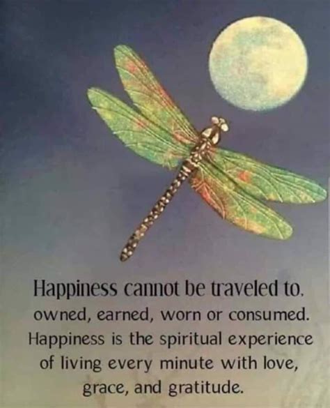 Happiness Dragonfly Quotes Wisdom Quotes Life Quotes