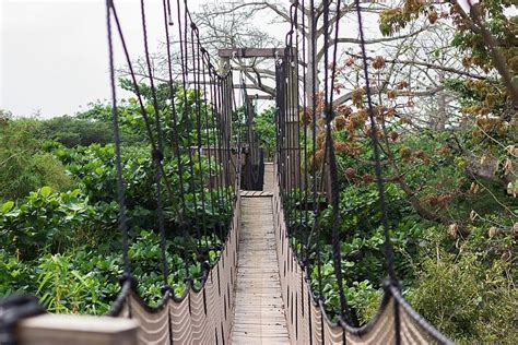 Legon Botanical Gardens Accra’s Paradise
