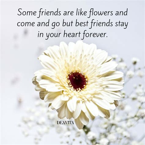 Flower Card Messages For Best Friend Best Flower Site